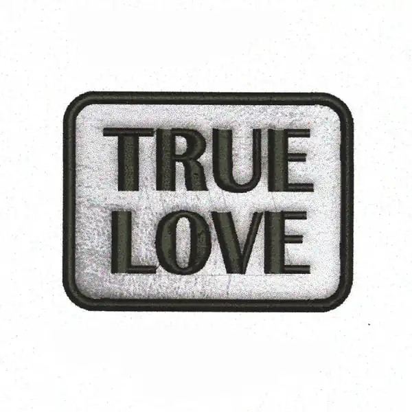 APLIQUE BORDADO TERMOAD TRUE LOVE ETIQUETA PLATEADA X 2UN