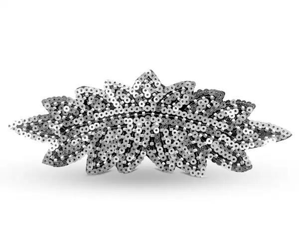 CHARRETERAS TERMOADHESIVAS CON LENTEJUELAS Y CANUTILLOS 7CM X 18CM X 2UN 