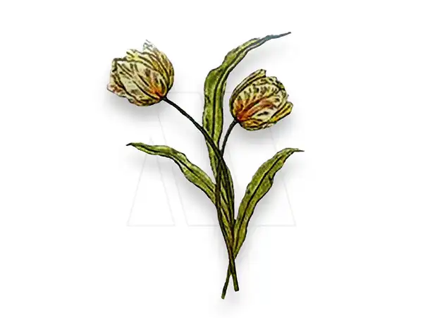 ESTAMPA DTF TERMOAD TULIPANES 4CM X 6,5CM X 4UN