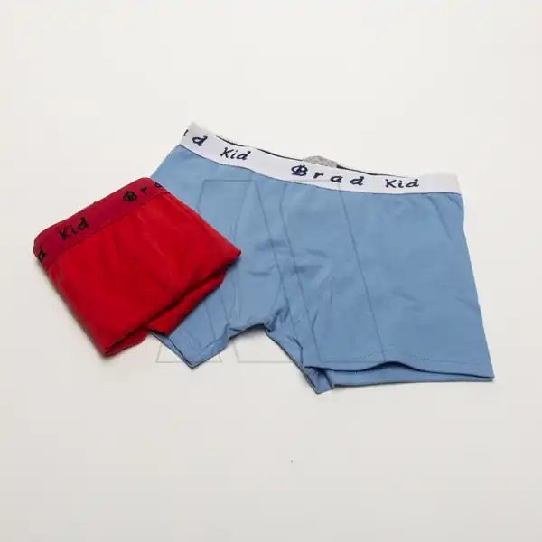 BOXER NENE ALG Y LYCRA C/ELASTICO BRADBURY