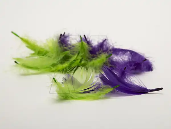 PLUMAS CHANTILLY CHICA X 3,5GRS